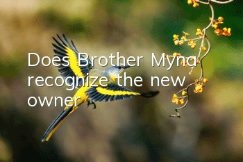 Does Brother Myna recognize the new owner?