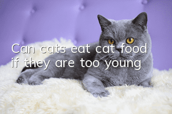 Can cats eat cat food if they are too young?