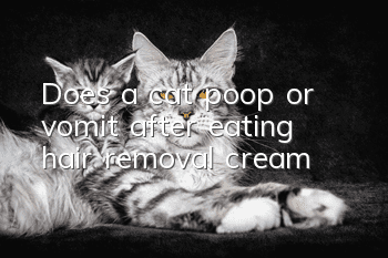 Does a cat poop or vomit after eating hair removal cream?