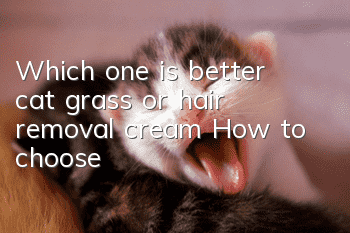 Which one is better, cat grass or hair removal cream? How to choose?