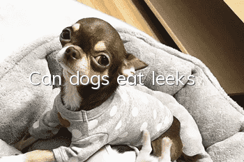 Can dogs eat leeks?