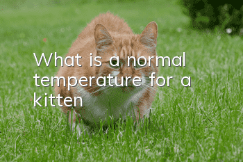 What is a normal temperature for a kitten?