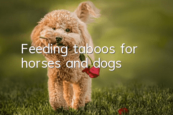 Feeding taboos for horses and dogs