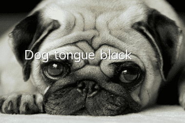 Dog tongue black