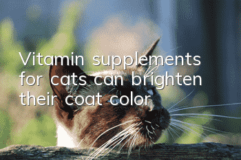 Vitamin supplements for cats can brighten their coat color