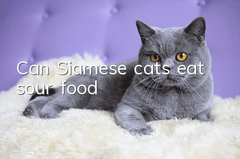 Can Siamese cats eat sour food?