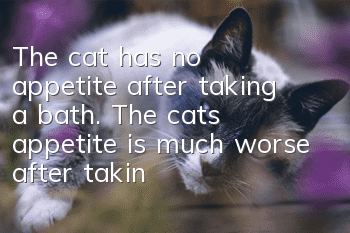 The cat has no appetite after taking a bath. The cat’s appetite is much worse after taking a bath.