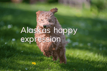 Alaska's happy expression