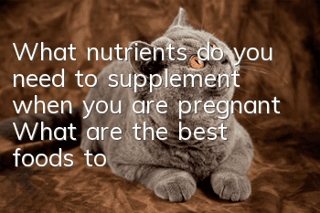 What nutrients do you need to supplement when you are pregnant? What are the best foods to eat when you are pregnant?