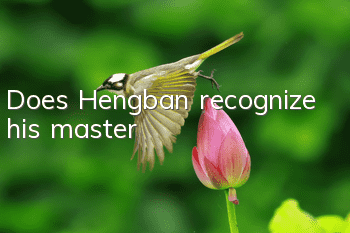 Does Hengban recognize his master?