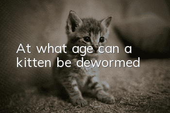 At what age can a kitten be dewormed?