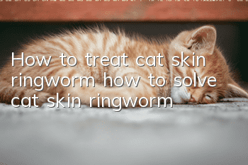 How to treat cat skin ringworm, how to solve cat skin ringworm?