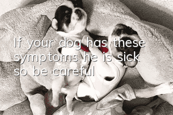 If your dog has these symptoms, he is sick, so be careful!