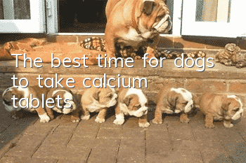 The best time for dogs to take calcium tablets