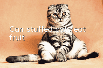 Can stuffed cats eat fruit?