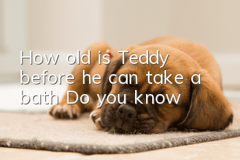 How old is Teddy before he can take a bath? Do you know?