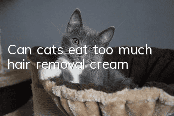 Can cats eat too much hair removal cream?