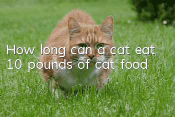 How long can a cat eat 10 pounds of cat food?