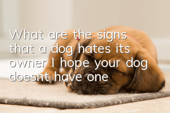 What are the signs that a dog hates its owner? I hope your dog doesn’t have one!