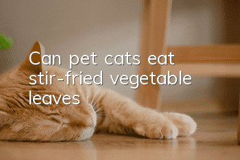 Can pet cats eat stir-fried vegetable leaves?