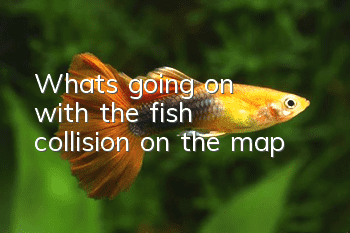 What's going on with the fish collision on the map?