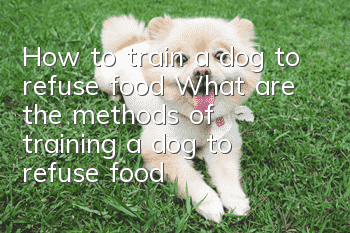 How to train a dog to refuse food? What are the methods of training a dog to refuse food?