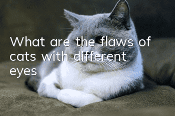 What are the flaws of cats with different eyes?