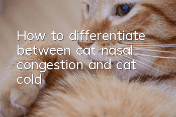 How to differentiate between cat nasal congestion and cat cold?