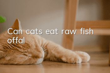 Can cats eat raw fish offal?