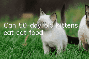 Can 50-day-old kittens eat cat food?