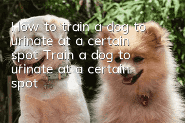 How to train a dog to urinate at a certain spot? Train a dog to urinate at a certain spot!