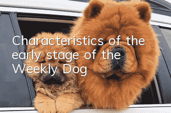 Characteristics of the early stage of the Weekly Dog