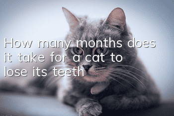 How many months does it take for a cat to lose its teeth?