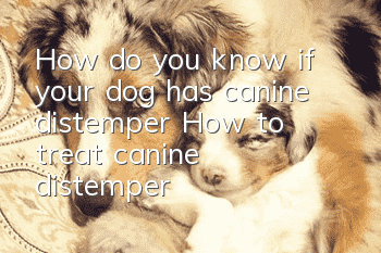 How do you know if your dog has canine distemper? How to treat canine distemper!