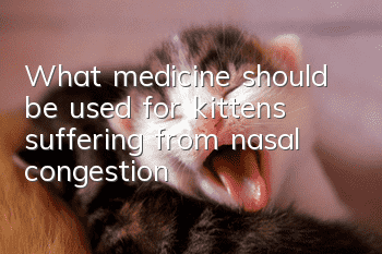 What medicine should be used for kittens suffering from nasal congestion?