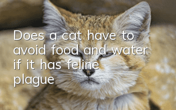 Does a cat have to avoid food and water if it has feline plague?