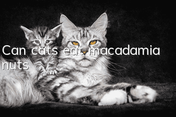 Can cats eat macadamia nuts?