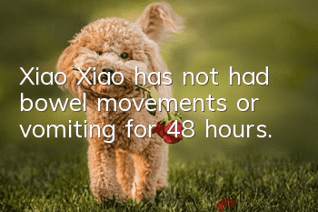 Xiao Xiao has not had bowel movements or vomiting for 48 hours.