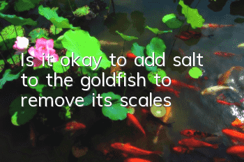 Is it okay to add salt to the goldfish to remove its scales?