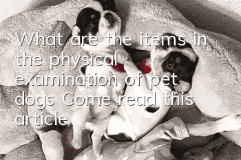 What are the items in the physical examination of pet dogs? Come read this article!