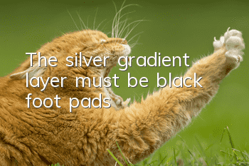 The silver gradient layer must be black foot pads