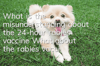 What is the misunderstanding about the 24-hour rabies vaccine? What about the rabies vaccine!