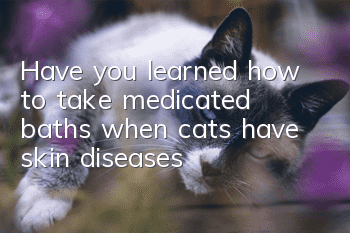 Have you learned how to take medicated baths when cats have skin diseases?