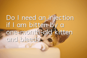 Do I need an injection if I am bitten by a one-month-old kitten and bleeds?