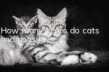 How many years do cats and dogs live?