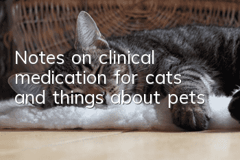 Notes on clinical medication for cats and things about pets!