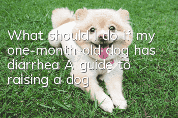 What should I do if my one-month-old dog has diarrhea? A guide to raising a dog!