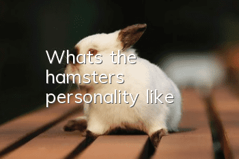 What's the hamster's personality like?