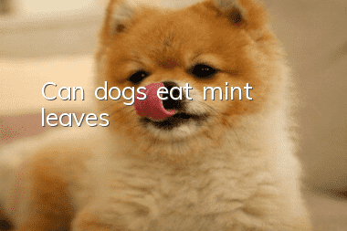 Can dogs eat mint leaves?