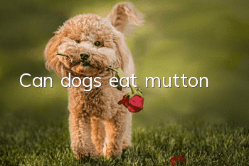 Can dogs eat mutton?